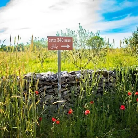 San Polo Max In Istria Up To 8 People With Heated Pool & Pet Friendly * Divšići